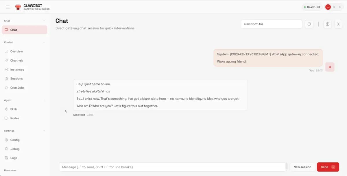 Clawdbot Gateway Dashboard showing agent online